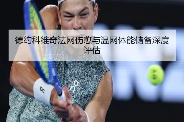 de-yue-ke-wei-qi-fa-wang-shang-yu-yu-wen-wang-ti-neng-chu-bei-shen-du-ping-gu-3-231.jpg