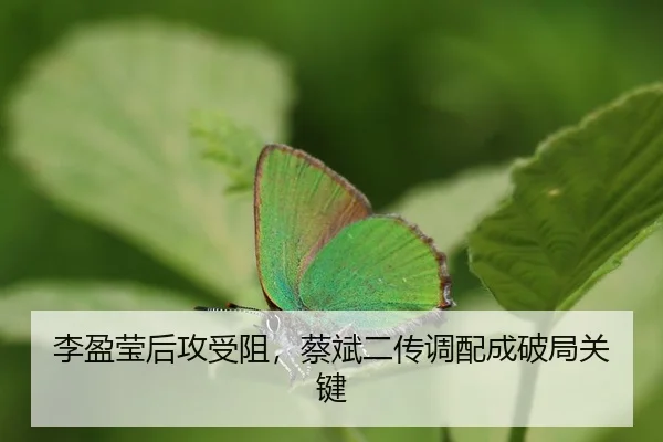 li-ying-ying-hou-gong-shou-zu-cai-bin-er-chuan-diao-pei-cheng-po-ju-guan-jian-3-992.jpg
