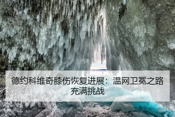 德约科维奇膝伤恢复进展：温网卫冕之路充满挑战