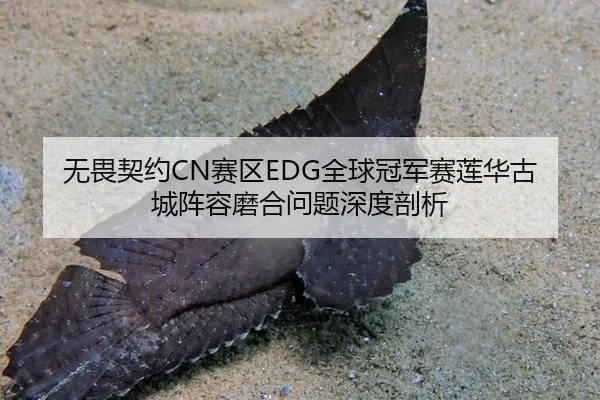 无畏契约CN赛区EDG全球冠军赛莲华古城阵容磨合问题深度剖析
